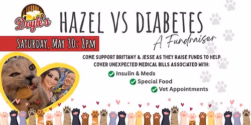 Hazel vs Diabetes Fundraiser