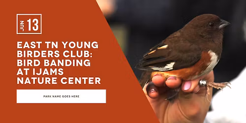 East TN Young Birders Club: Bird Banding at Ijams Nature Center