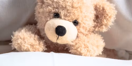 Dzie\u0144 Pluszowego Misia