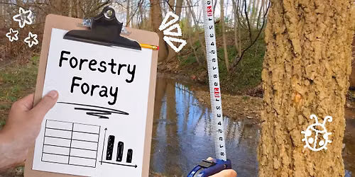 Forestry Foray