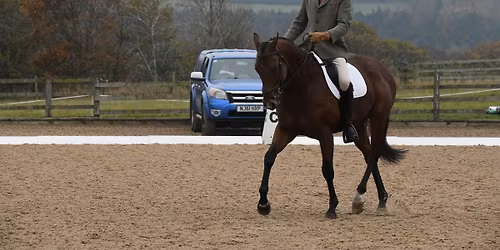 Dressage Competition