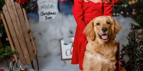 Holiday minis 4 different sets 