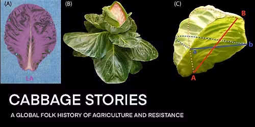 Cabbage Stories: A Global Folk History of Agriculture and Resistance