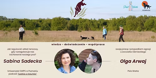 VIII Pozna\u0144ski Behawioralny Mastermind