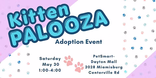 KITTEN PALOOZA Adoption Event