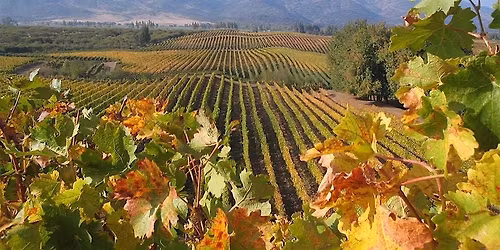 Heading East Wine Masterclass