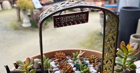 Miniature Gardening Workshop 3\/21