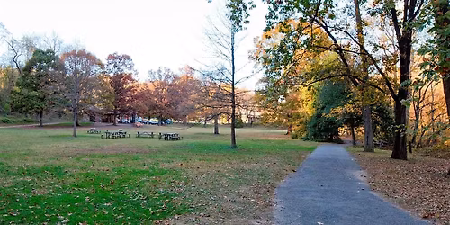 Communion Beneath the Trees