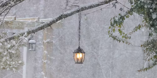 SDF Photography @ Red Hook Holiday Market