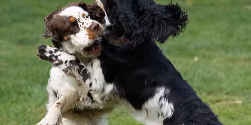 Komunika\u010dky s Lenkou Blachovou