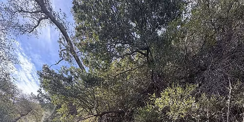 Hiking with a Naturalist