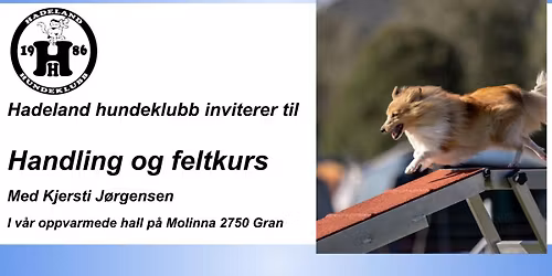 \ud83d\udc3e Agilitykurs med Ina Himle