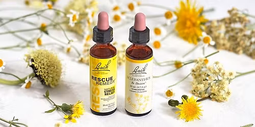 Introduction au Fleurs de Bach avec Jane  