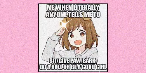 KLUB K9: puppy girl night <3