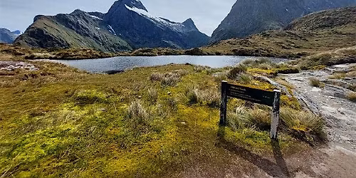 Treasury Presentation - Launch of the Investment Statement: IN-PERSON