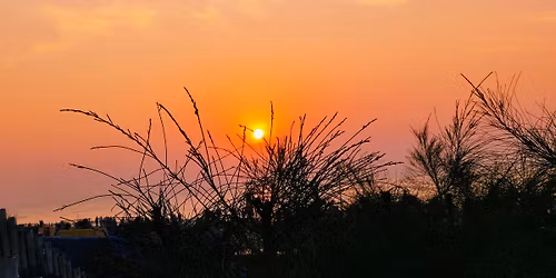 puri sea beach \ud83c\udf05\ud83c\udfd6\ufe0f