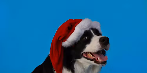 Christmas PJ's & Bubble Party