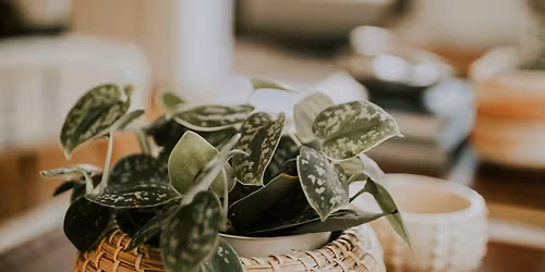 Radical Release Yoga