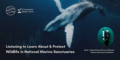 Listening to Learn About & Protect Wildlife in National Marine Sanctuaries