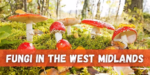 Fungi in the West Midlands - a Talk by Lukas Large