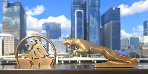 Design your own Driven Car Decorations