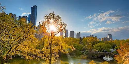 Central Park Social Walk (50s & Over)