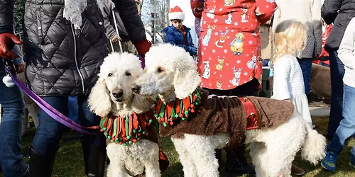 Kennebunkport's Christmas Prelude: Pooch Parade
