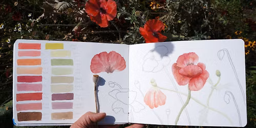 Field Sketching Plants in Watercolor (in-person)