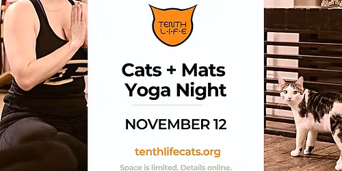 Cats N' Mats Yoga Night - November 2025