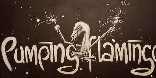 PUMPING FLAMINGO: Checkpoint