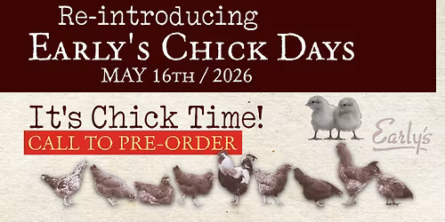 Early's Chick Day #6 (LAST ONE!)
