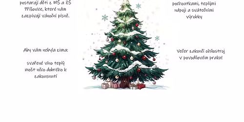 Rozsv\u00edcen\u00ed v\u00e1no\u010dn\u00edho strome\u010dku na p\u0159\u00ed\u0161ovick\u00e9 n\u00e1vsi