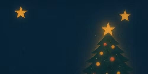 Rozsv\u00edcen\u00ed v\u00e1no\u010dn\u00edho strome\u010dku na p\u0159\u00ed\u0161ovick\u00e9 n\u00e1vsi 