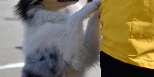 SCY Kev\u00e4t- match show 2.5.2026