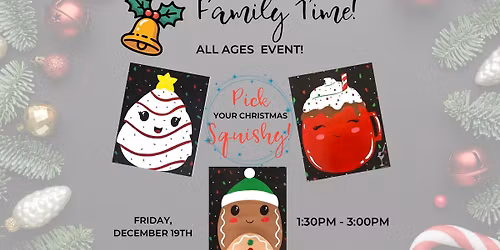 All Ages Christmas Squishy Class!