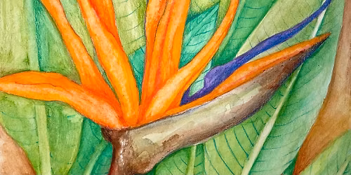 Creative Escape Adult Art Workshop - January