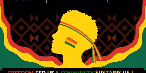 JUNETEENTH FREEDOM FEST