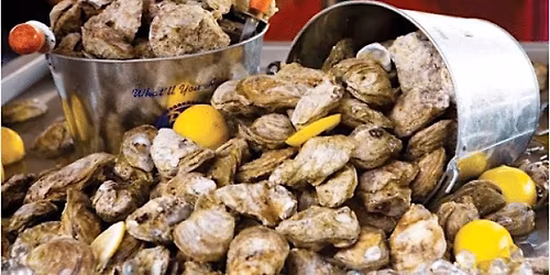 Our 6th Annual Oyster Roast