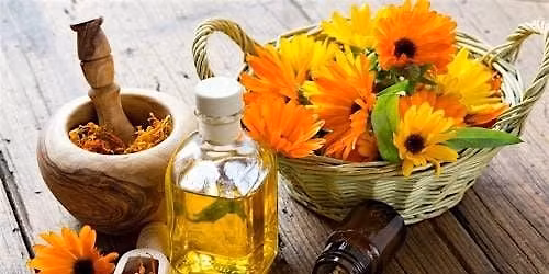 Discover Homeopathy!