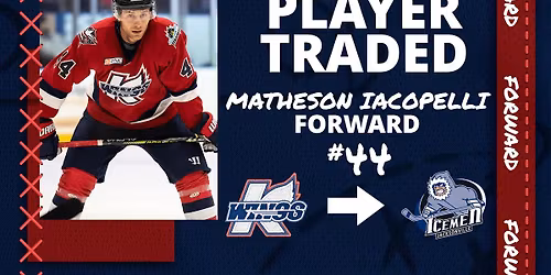 Jacksonville Icemen at Kalamazoo Wings