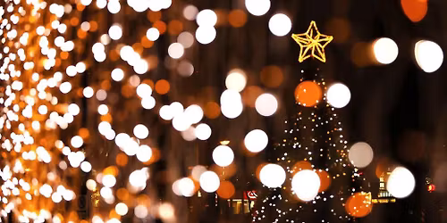 17th Annual Mansion Christmas Gala (Public Page)