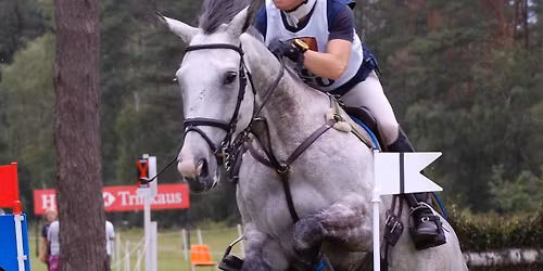 Czechia vs Italy \/ Sweden vs Slovenia - Day Ticket - Ice Hockey World Championship 2026 Tickets