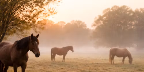 K&A Easter Bunny SALE \ud83d\udc30