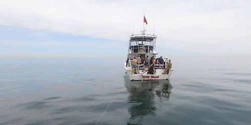 1 Tank Afternoon Dive \u2013 BWD