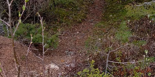 Utstillings\u00e5pning og panelsamtale | J\u00e4lki\u00e4 Meist\u00e4 - v\u00e5re spor