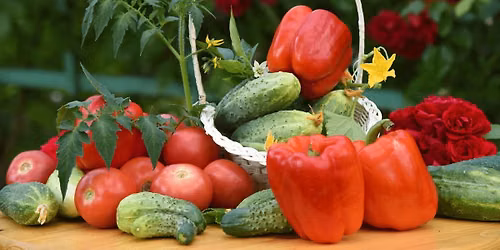 August Backyard Barter
