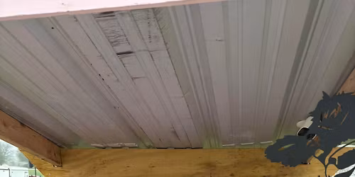 Samantha\u2019s Stand - Opening day \u25e1\u0308 