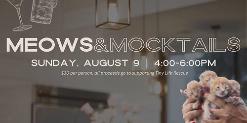 meows & mocktails 