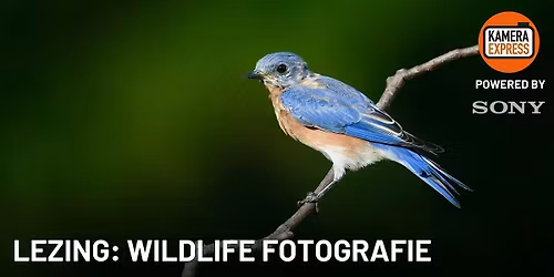 Lezing: Wildlife Fotografie