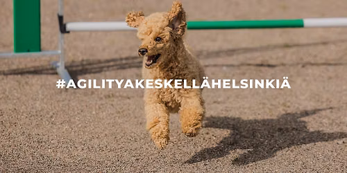 AGRY:n kes\u00e4epikset
